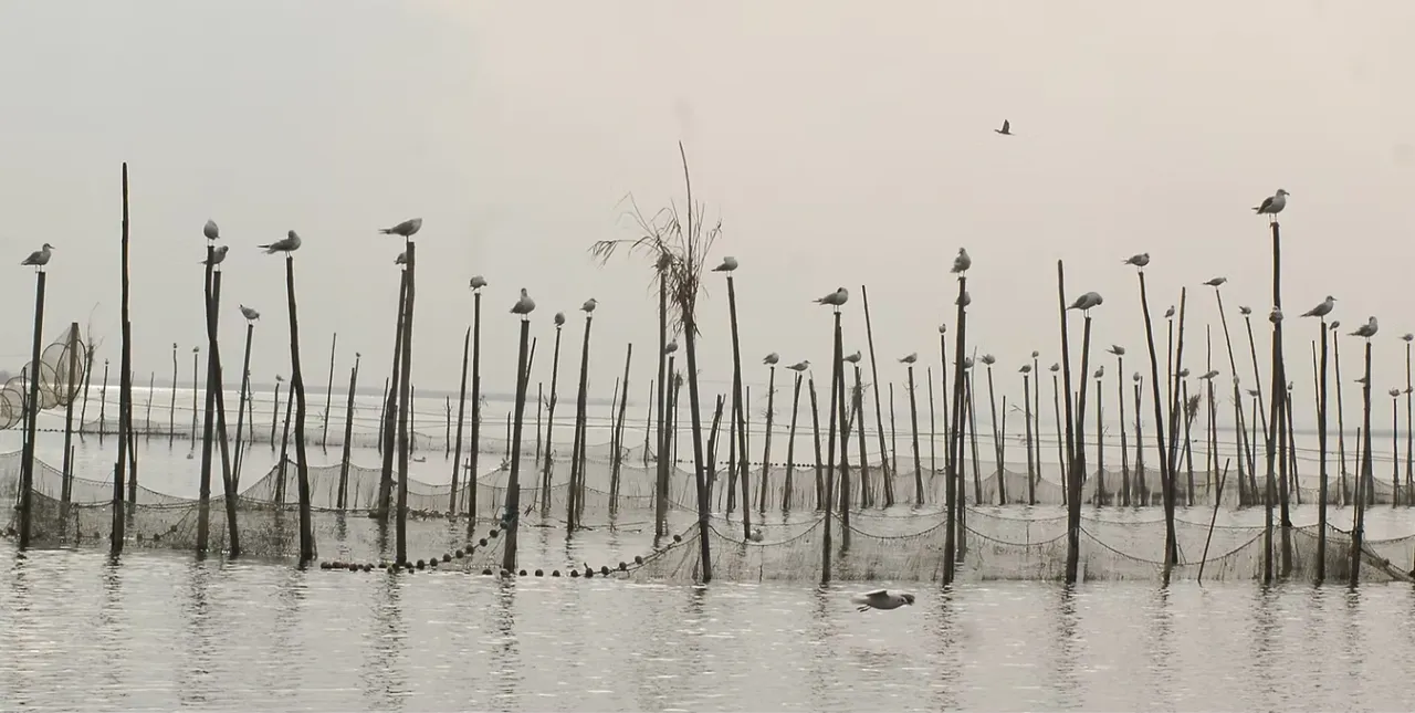 Récits de résistance et de nature - La Jetée Films